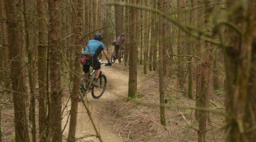 Swinley forest trail