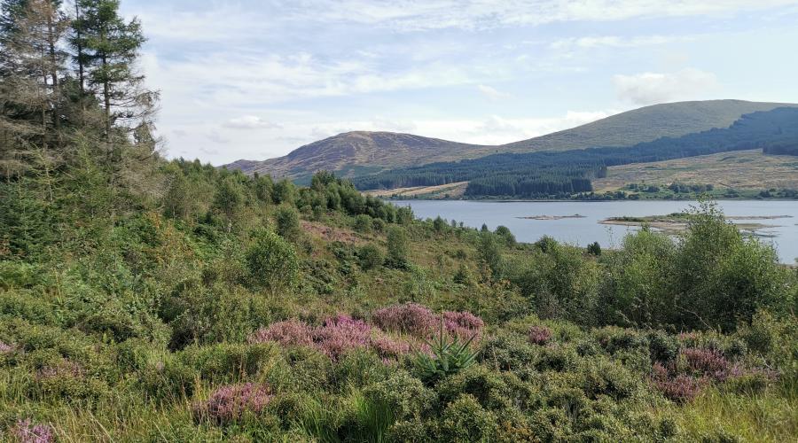 Loch Doon