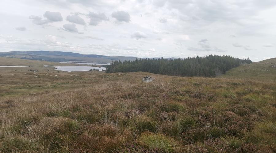 Loch Doon