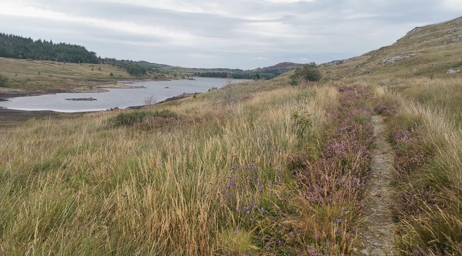 Loch Doon