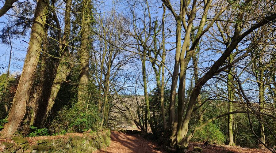 Tump Turrett Medeival (Motte and Bailey Castle remnants)