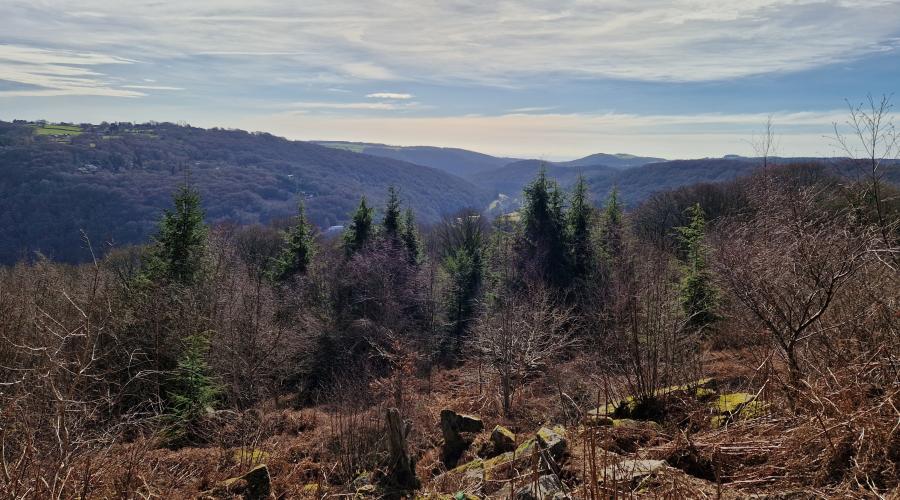 Tump Turrett Medeival (Motte and Bailey Castle remnants)