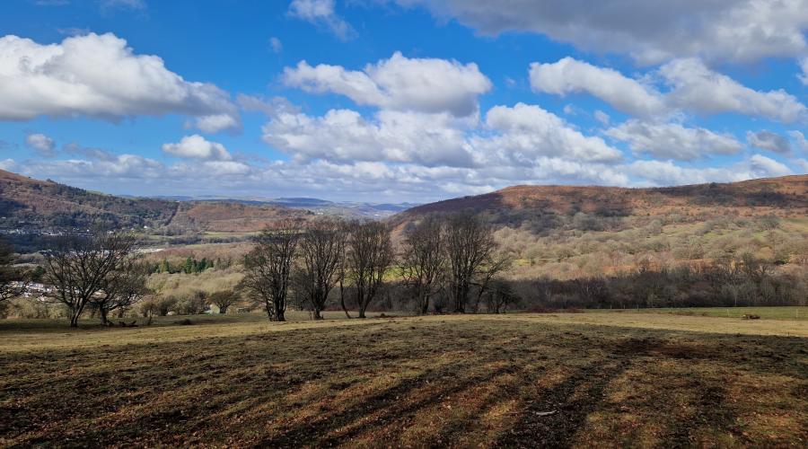 Norman folly of Castell Coch
