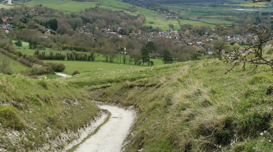 Lewes 