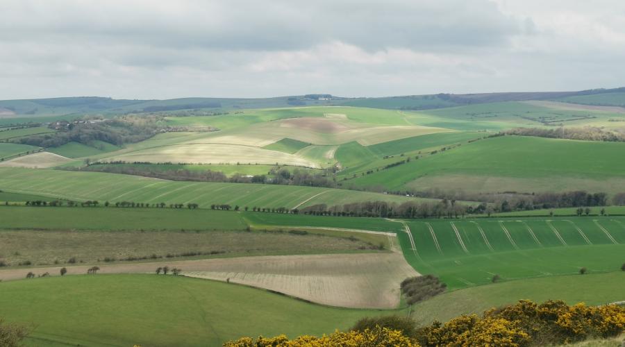South Downs view