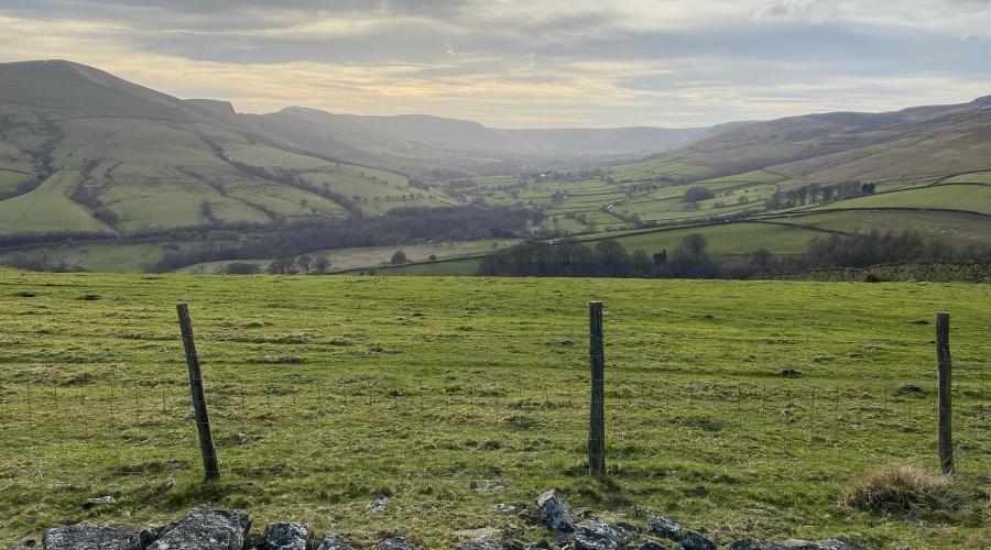 Valley with pasture and woodland