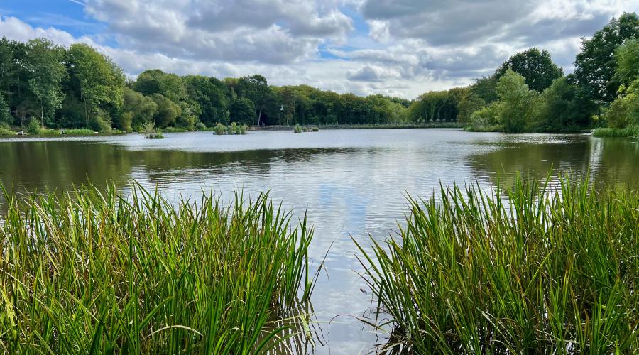 Shipley Park lake wide
