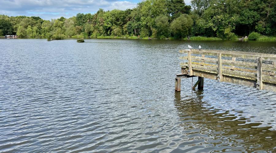 Shipley Park lake wide
