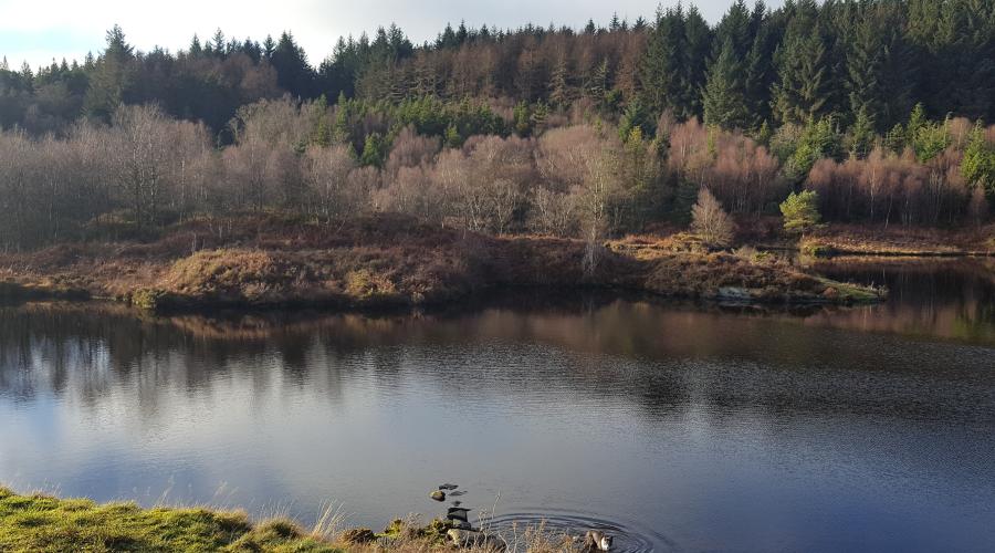 Llyn Elsi seen from the far end on a sunny day