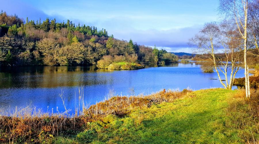 Llyn Elsi seen from the far end on a sunny day