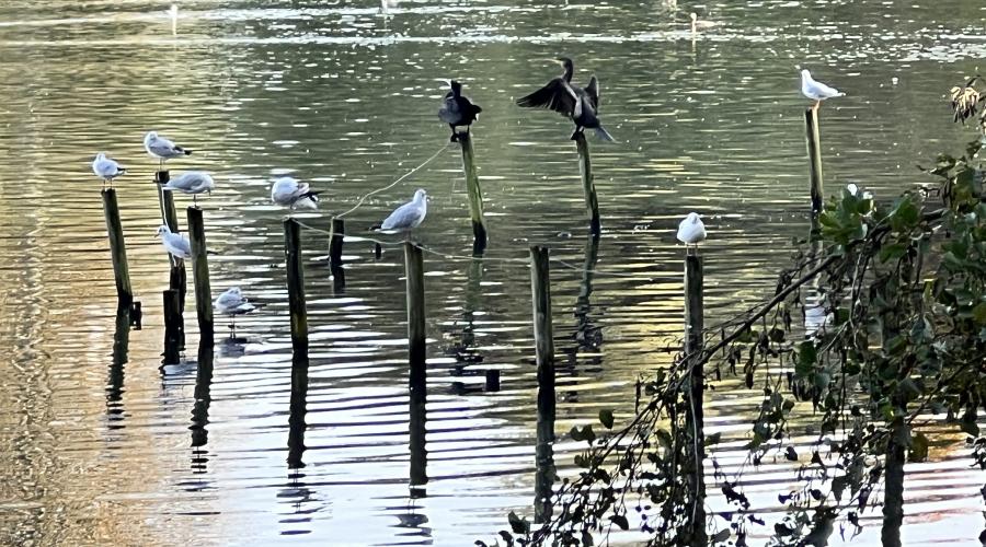 Lake