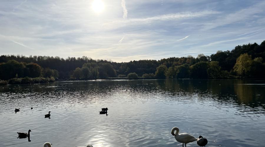 Lake