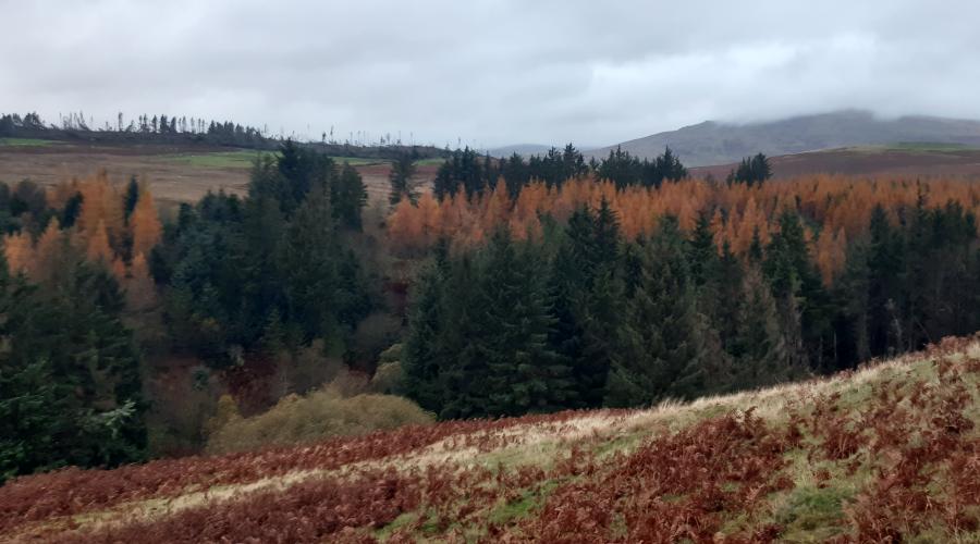 Looking across valley to hills