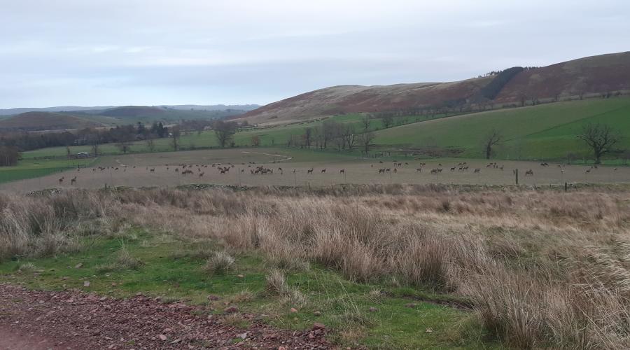 Looking across valley to hills