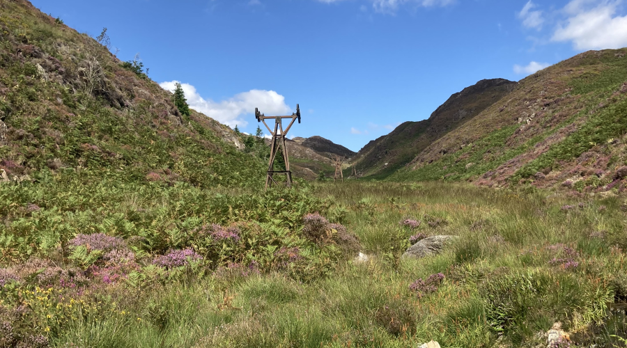 Cwm Bychan Summit 2