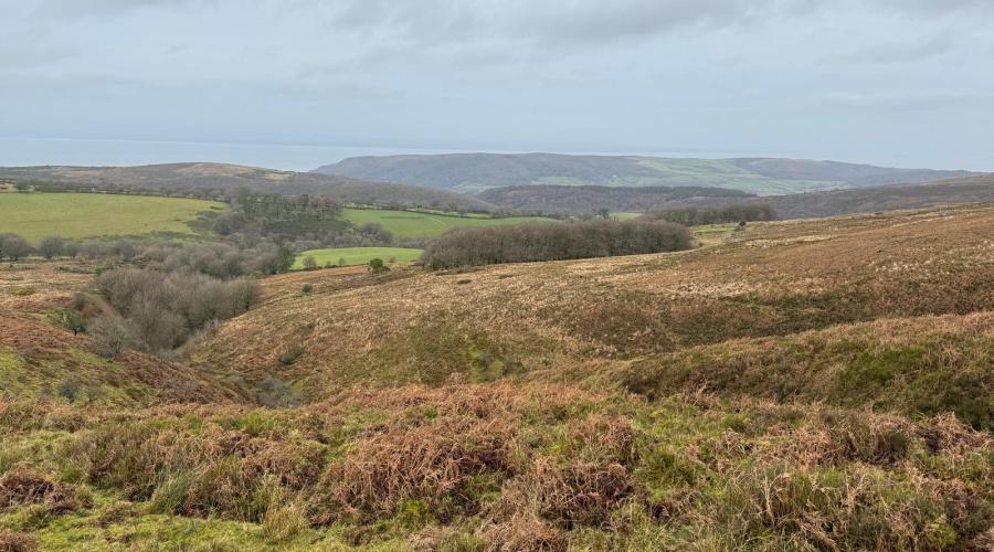 View across Exmoor from Dunkery Beacon