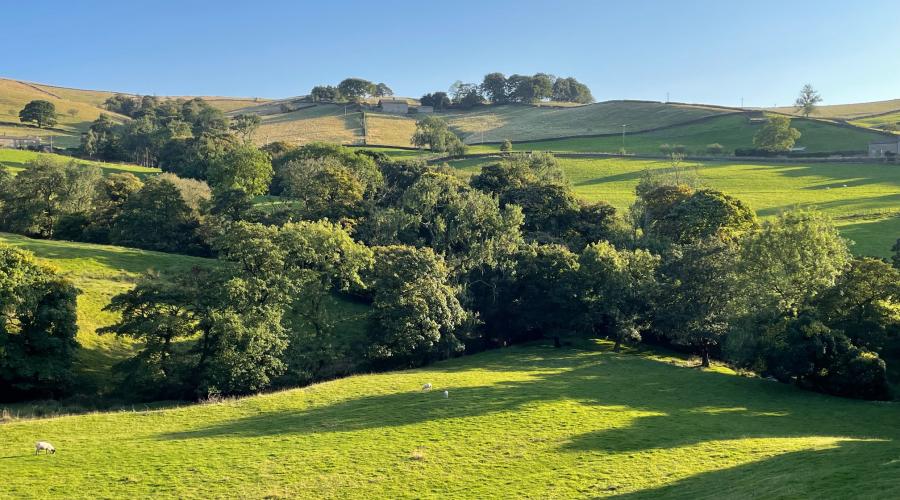 Rainow hillside