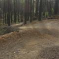 Swinley forest trail
