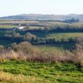 Trees on Chanctonbury Ring