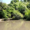 Hazel Brook tree lined limestone gorge