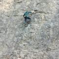 climber and belayer