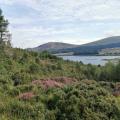 Loch Doon