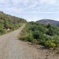 Loch Doon