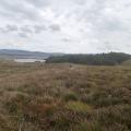 Loch Doon