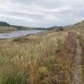 Loch Doon