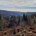 Tump Turrett Medeival (Motte and Bailey Castle remnants)