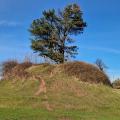 Tump Turrett Medeival (Motte and Bailey Castle remnants)