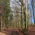 Norman folly of Castell Coch