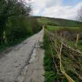 Lewes 