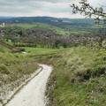 Lewes 