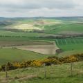 South Downs view