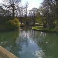 Lewes 