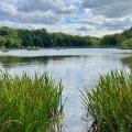 Shipley Park lake wide
