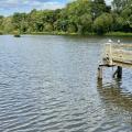 Shipley Park lake wide