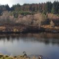 Llyn Elsi seen from the far end on a sunny day