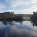 Llyn Elsi seen from the far end on a sunny day