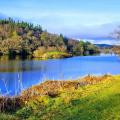 Llyn Elsi seen from the far end on a sunny day