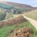 Derwent Dam