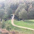 Derwent Dam