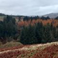 Looking across valley to hills