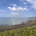 Shell Island