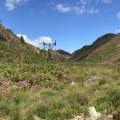Cwm Bychan Summit 2