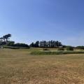 Shell Island