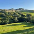 Rainow hillside